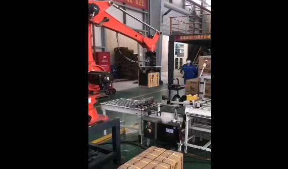 爾必地碼垛機(jī)器人紙箱碼垛搬運(yùn)應(yīng)用案例視頻