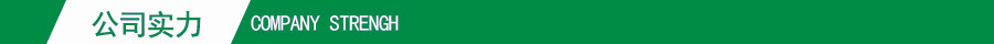 公司實(shí)力